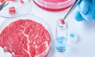 Лабораторный анализ пищевых продуктов по СанПиН в Приморско-Ахтарске в октябре