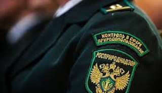 Подготовка к проверке Росприроднадзора в Приморско-Ахтарске от ПромМир-Прр, стоимость услуги от 20276 руб.